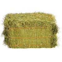 Alfafa Hay Bales & Pellets