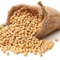 Soybeans 