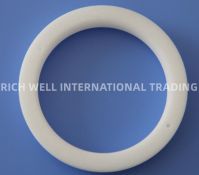 Piston Salt Core
