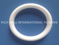Piston Salt Core