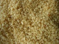 Quality Sesame Seeds