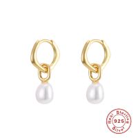 S925 Sterling Silver Light Luxury Long