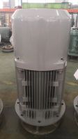 Construction Hoist Inverter Motor