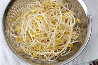 QF Bulk Price Frozen Green Bean