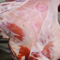 High Quality Fresh Frozen Lamb Meat
