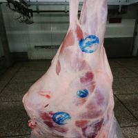 Beef Boneless Meat Trimming/Halal Beef Meat discount price