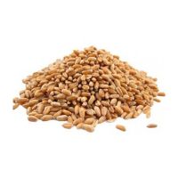 2023 Wheat Grains Factory Price