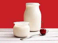 Nos Sugar-free Yogurt