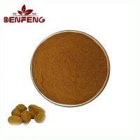 Food grade pure natural beef bile powder high quality ox bile extract powder