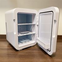 4L/ 5L New Arrived Desk Cooler Cosmetic Beauty Fridge New Mini Fridge