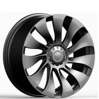 Tesla Model Y Wheel