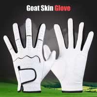 Sunshine Waterproof Colored Mens Ladies Golf
