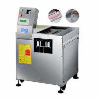 Commercial Stainless Steel Electric Pangasius Fish