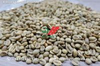 Robusta Green Coffee Beans- Wet Polished