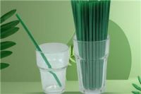 Degradable Lounge Plastic Drinking Straw