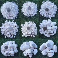 White Tumbled Pebble Stone, Landscape Gravels