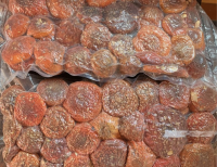 Amanita Muscaria Wholesale 2026