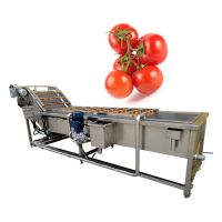 air bubble vegetable and fruit washing machine