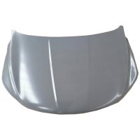 High Hardness Car Parts Engine Hood