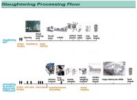 1000-5000bph chicken slaughtering line with vertical plucker chiller