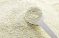 Milk Powder