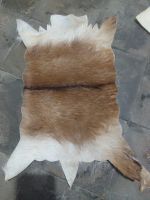 RAW Goat Skin