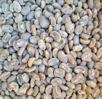 Kintamani Arabica coffee