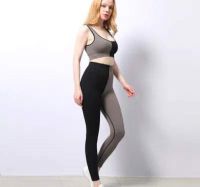 Ladies Seamless Sports Wear Gym Wear Yoga Wear and Active Wear Long Sleeve Crop Top