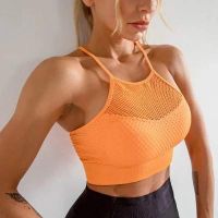 women seamless sport bra sportswear gym wear yoga wear sports wear fitness and active wear