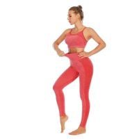 Lades Seamless Sportswear Fitness Wear Gym Wear Yoga Wear Active sports bra sport vest sport legging