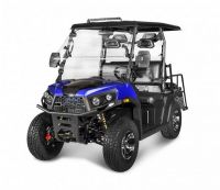 Blue - Vitacci Rover-200 EFI 169cc