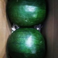 Fresh Watermelon