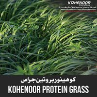 Protein Grass Seed - Boost Milk &amp