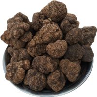 Popular Wild Fresh Black Truffles For