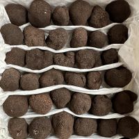Fresh Black Truffle Mushrooms Small Size