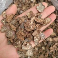 Enjoy High Quality Dried Black Truffle