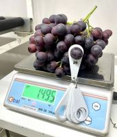 Fresh Grapes, Fresh Table Grapes, Seedless Grapes, Thompson Seedless, Crimson seedless