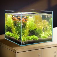 2 Gallon Clear Ultra-low Iron
