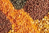 Lentils