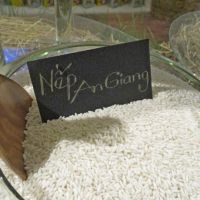 "AN GIANG" GLUTINOUSE RICE 10% BROKEN