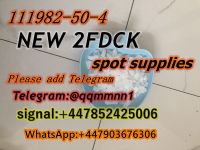 Spot Supplies  CAS  111982-50-4