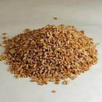 Hard Red Winter Wheat  Ã¢ï¿½ï¿½ NON-GMO. USA Origin.