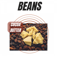 Cocoa Beans, Cocoa Powder, Cocoa Butter, Cashew Nuts and Coffee Beans