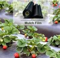 PE Black and Silver Plastic Mulch Film