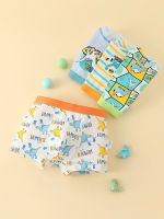 Wholesale/ODM/OEM Children Panties Boys