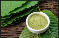 Elepht Mitragani Leaves Powder