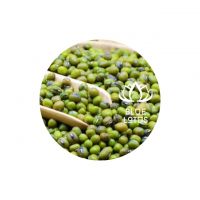 Vietnamese Mung Bean