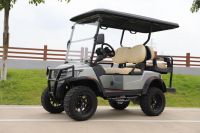 Electric 4 Seater Golf Cart/Buggy lifted