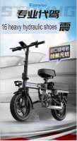 Electric Bike