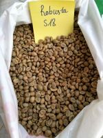 Antioxidant-Rich Roasted Coffee Beans